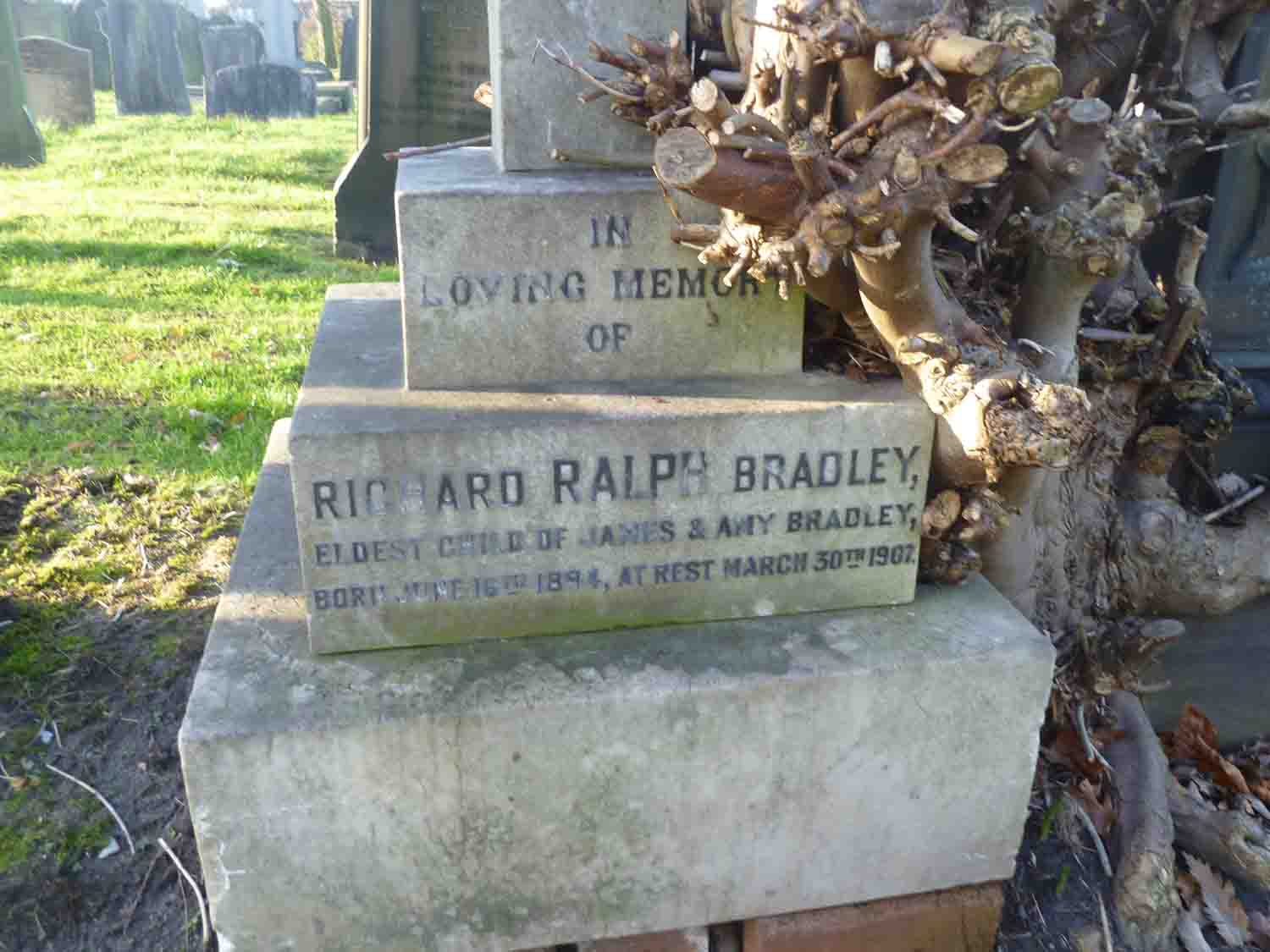 Bradley, Richard Ralph (B Left 205) (2)